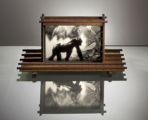 François Delebecque présente ses sculptures photographiques lumineuses à la Voz' galerie