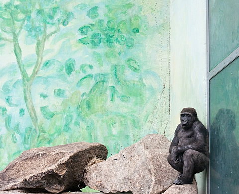 Prix HSBC pour la Photographie – 17ème édition : L’itinérance des lauréats 2012 continue à Toulon