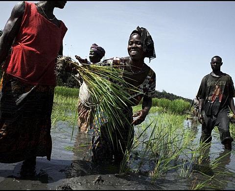 Le développement des pays du sud s’expose au cœur de Paris Le développement des pays du sud s’expose au cœur de Paris