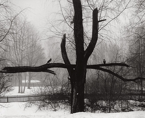 Ouvrage rétrospectif «Ici au loin» de l'oeuvre de Pentti Sammallahti Ouvrage rétrospectif «Ici au loin» de l'oeuvre de Pentti Sammallahti