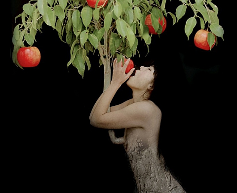 Exposition «Möbius Strip» par Ahn Sun Mi à la Visionairs Gallery