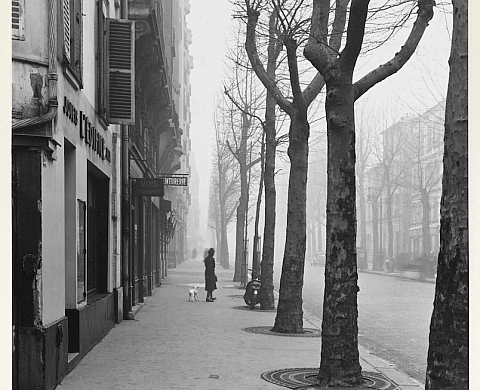 Rétrospective du photographe Louis Stettner à la BNF Rétrospective du photographe Louis Stettner à la BNF