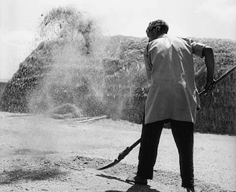« Images d'Algérie » par Pierre Bourdieu au Château de Tours