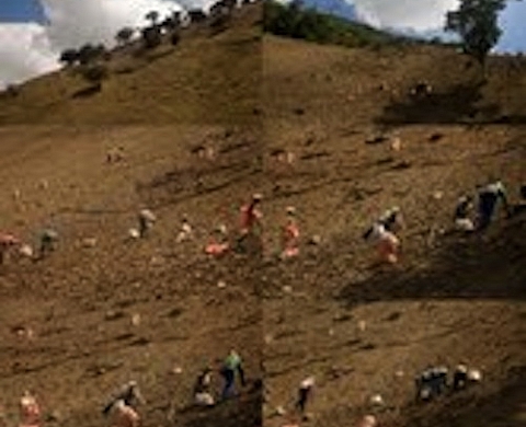 Anabell Guerrero expose « Voix du monde » et « Frontera » au Festival Latinoamericain de Biarritz