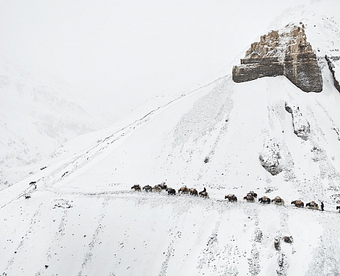 « Pamir - Les oubliés du toit du monde » par Matthieu et Mareile Paley « Pamir - Les oubliés du toit du monde » par Matthieu et Mareile Paley