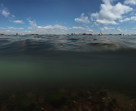 « Ecotopia » d'Isabelle Hayeur au Canada