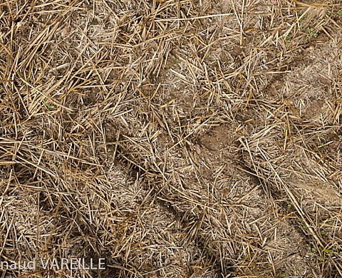 Arnaud Vareille « Joue contre terre » au Chai Pierre et Bertrand Couly