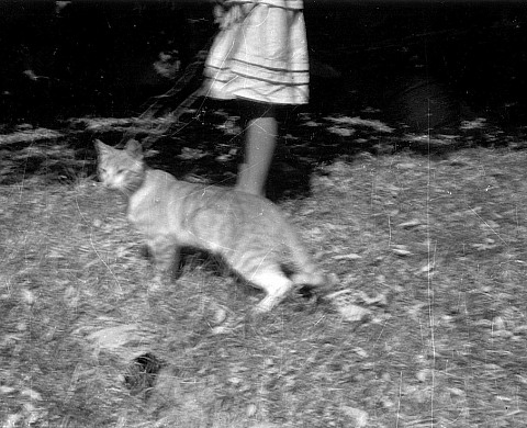 Premières photographies de Marthe Pilven : « Un jardin en Espagne »