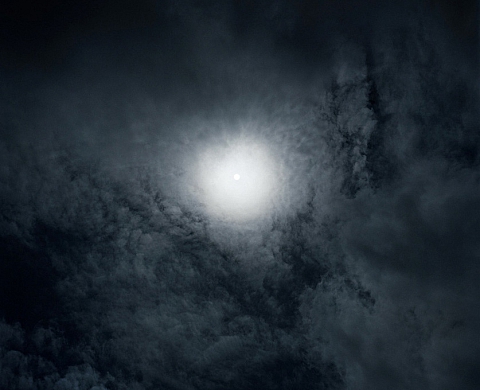 Eric Bourret - DNR gallery - Excuse me, while I kiss the sky