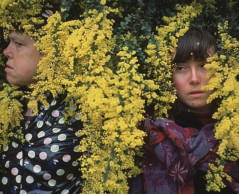 « Les oiseaux » de Myriam Richard exposés à la Galerie Le Lieu