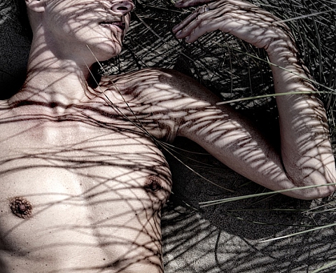 Exposition « The Eyes of the dream » de William Ropp à la Krisal Galerie 