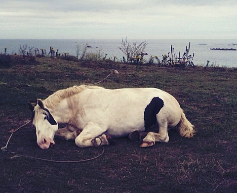 Mois de la Photo-OFF 2012 : La Galerie Satellite présente une exposition collective sur le thème « Fotodroid, nouvelles images du littoral »