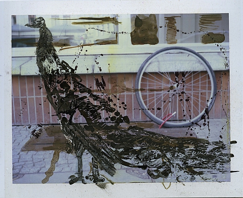 Mois de la Photo-OFF 2012 : «Bestiaire», ou la collaboration d'un peintre et d'une photographe à l'Artazart Mois de la Photo-OFF 2012 : «Bestiaire», ou la collaboration d'un peintre et d'une photographe à l'Artazart