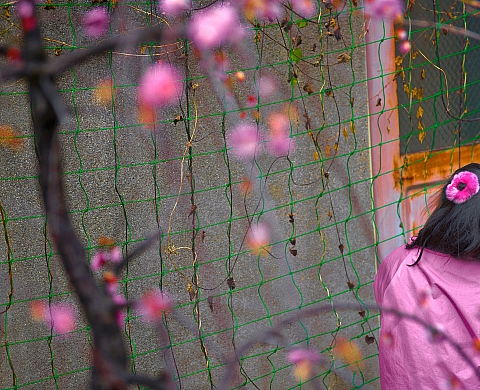 Mois de la Photo 2012-OFF: JAS Gallery accueille «Light from Within» de Mélissa Teo Mois de la Photo 2012-OFF: JAS Gallery accueille «Light from Within» de Mélissa Teo
