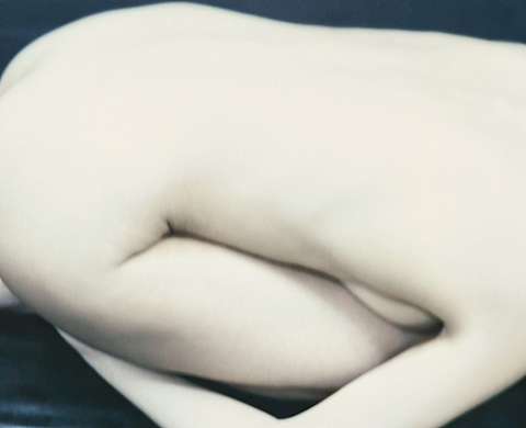 Mois de la Photo 2012-OFF: Les «Nus» de Jérôme Tisné à la Galerie Pascal Gabert