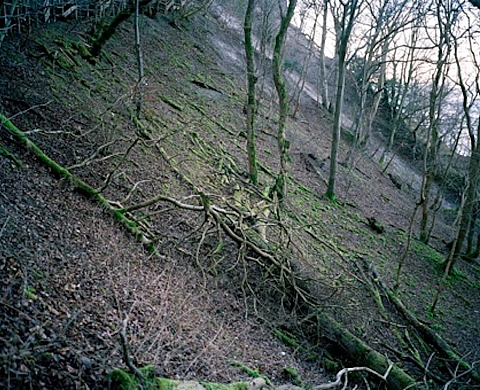 Exposition «Juste avant l'hiver» à la Galerie des comptoirs Arlésiens 