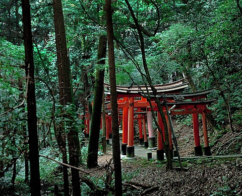 Les photographies de Pierre Lesage « Disparition - Un Japon vide d'humains » à la Galerie L'oeil du Huit Les photographies de Pierre Lesage « Disparition - Un Japon vide d'humains » à la Galerie L'oeil du Huit