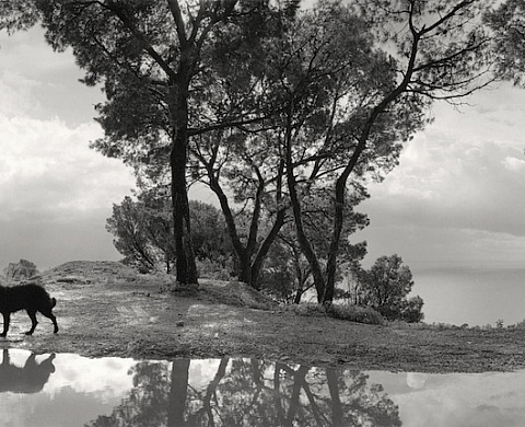 Penti Sammalahti présente «Ici au loin» à la Galerie Camera Obscura