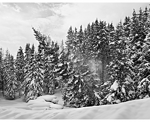 Le jury de l’exposition-concours nationale Prix Photoforum 2012 SELECTION | AUSWAHL a sélectionné 18 artistes qui seront exposés au PhotoforumPasquart