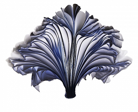 La « Mémoire Vive » de Cara Barer à la galerie Boissière + Gomendio