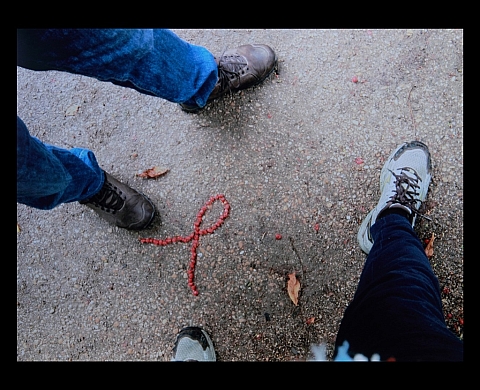 Daniel Nassoy participe à l'exposition « Rubans » au Viaduc des Arts