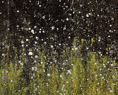 La VOZ’Galerie présente l’exposition “Réalisme paradoxal” de Jors