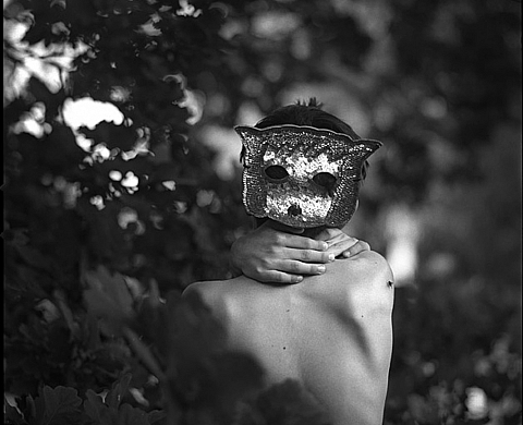 Le temps des grenadines exposition de Dan Aucante au Fond d'Art Modernet et Contemporain de Montluçon