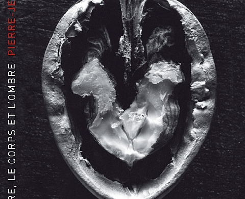 Pierre-Jean Amar présente son nouveau livre « La nature, le corps et l'ombre » Pierre-Jean Amar présente son nouveau livre « La nature, le corps et l'ombre »