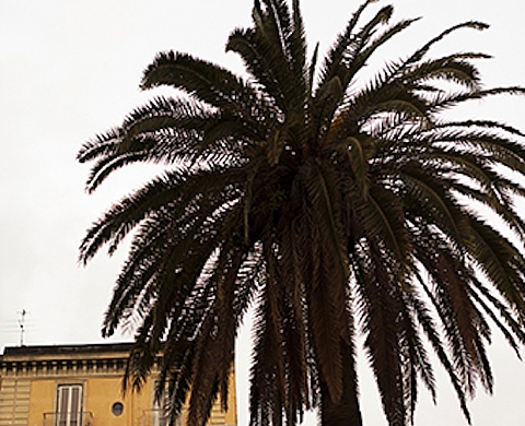 Itinéraires en Italie de Bernard Plossu et de Valérie Gondran à la galerie KA&NAO Itinéraires en Italie de Bernard Plossu et de Valérie Gondran à la galerie KA&NAO