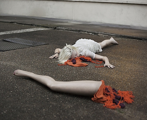 Circulation(s) 2013 : Circulation(s) 2013 :