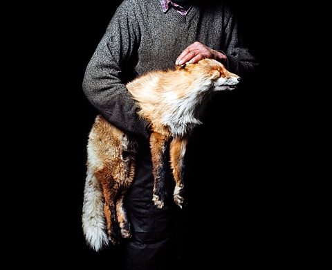 Circulation(s) 2013 : 