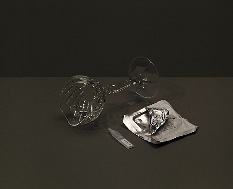 Les Boutographies 2013 : Les Boutographies 2013 :