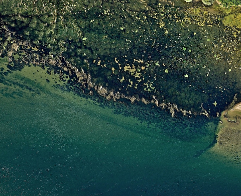 Domaine de Chaumont-sur-Loire : Nicolas Lenartowski expose au Centre d'Arts et de Nature