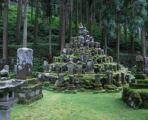 Domaine de Chaumont-sur-Loire : Claude Lefèvre expose au Centre d'Arts et de Nature
