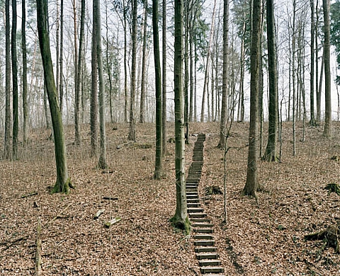 PhotoForum PasquArt 2013