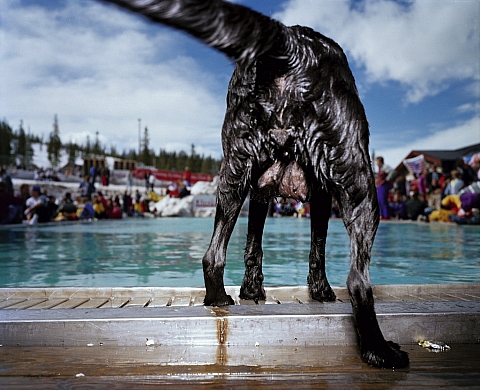 Le Château d'Eau expose 