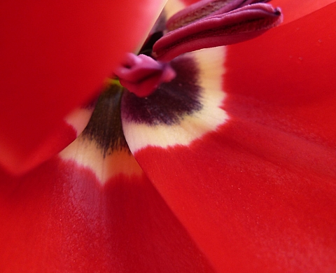 Sylvie Hauser présente Nathalie Roussel à l'Hôtel Pullman 