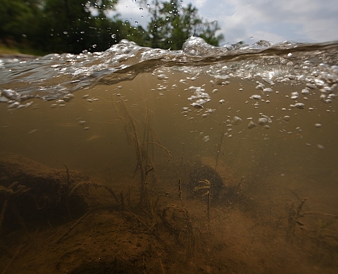 Isabelle Hayeur expose 