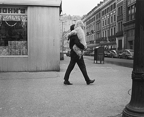 Tour d'horizon des nouvelles expositions de la maison européenne de la photographie. Tour d'horizon des nouvelles expositions de la maison européenne de la photographie.