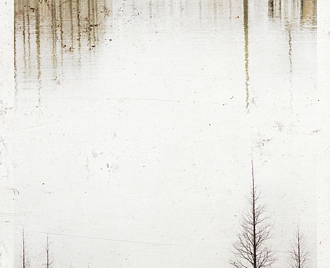 Cédez le passage expose 