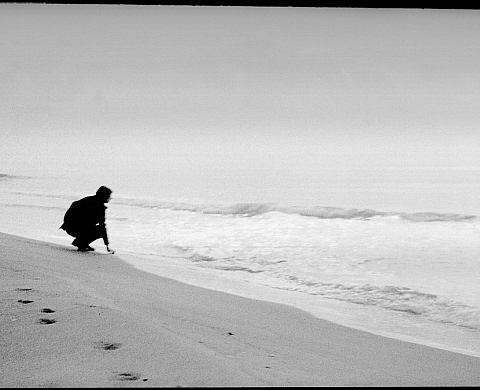 Le centre culturel Alsacien présente « Tigre de Papier » de Jean-Philippe Senn