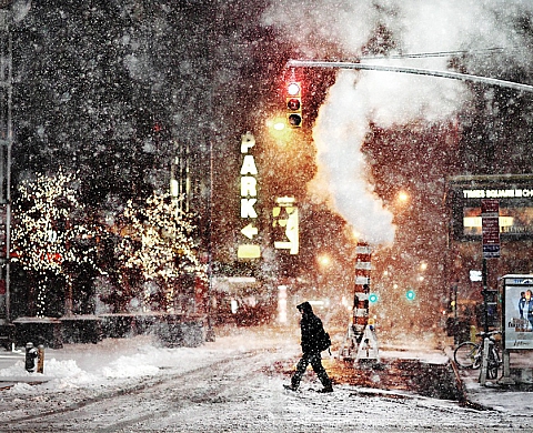 « Black and White » de Christophe Jacrot à la Young Gallery « Black and White » de Christophe Jacrot à la Young Gallery