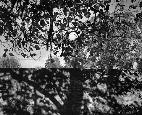 La galerie HorsChamps présente 