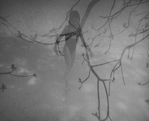 Little Big Galerie  présente les séries «Anamnèse» et «Nereïdes»  d'Isabelle L.