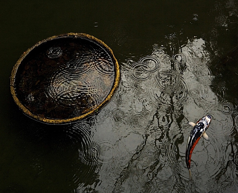 Photomed présente « Aspects de la photogrpahie Slovène» et « Slovénie entre mer et montagne»