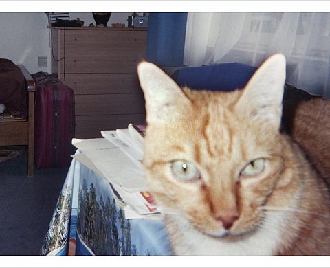 « PHILOU, DETECTIVE PRIVE » projet photo participatif dans une résidence pour personnes âgées à Saint-Gilles