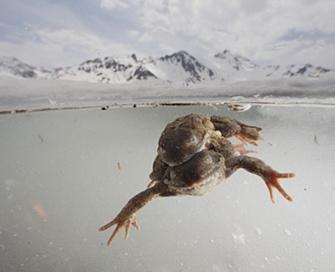  Appel à candidatures pour le Prix photo du Muséum Bourse professionnelle 