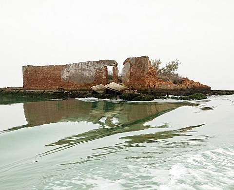  La galerie des Comptoirs arlésiens de la jeune photographie présente « Frémissements»