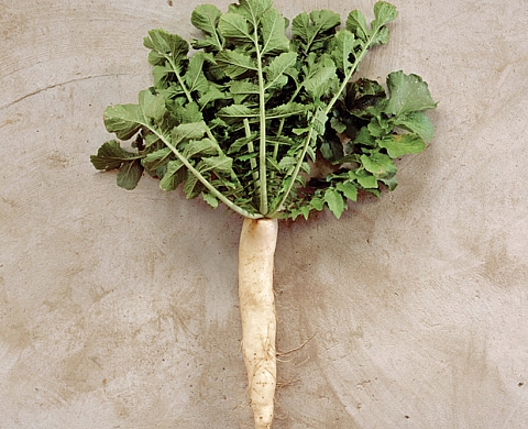 Week-end Arles Contemporain