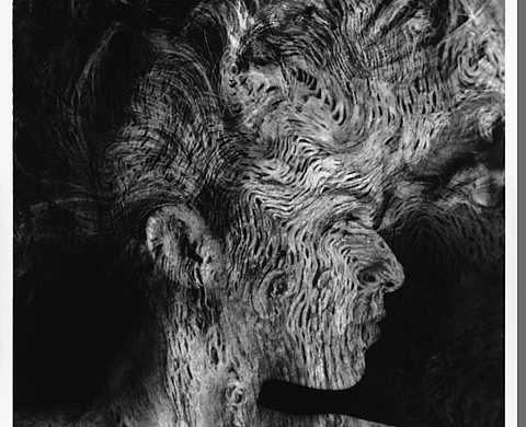 « Esther Ségal, du boux des yeux» à la Galerie Boltanski